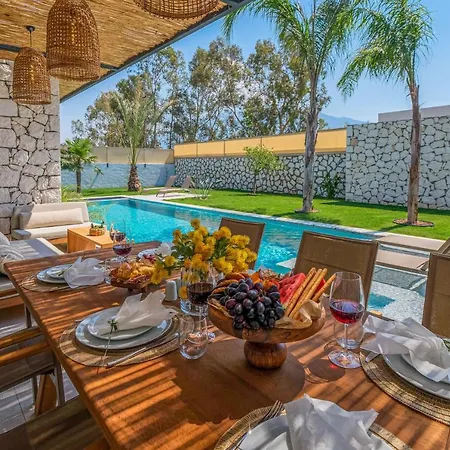 Viohouses - Luxury Private Pool Vilă *