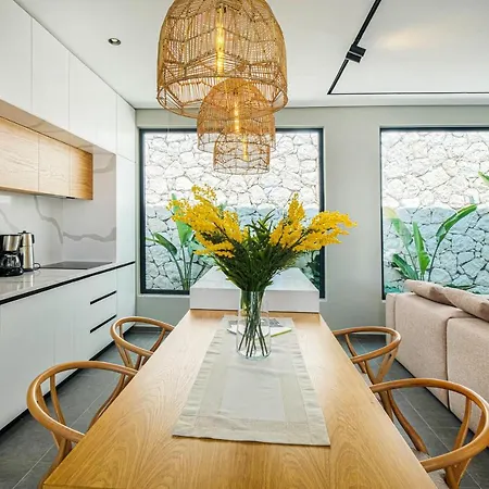 빌라 Viohouses - Luxury Private Pool 페티예